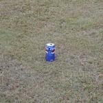 A lonely Pepsi